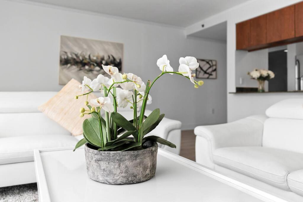 Modern 2/2 With Beautiful Ocean And Brickell Views Leilighet Miami Eksteriør bilde